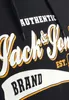 JACK&JONES Pullover mit Kapuze für Männer, JJELOGO Produktbild-Vorschau 4