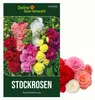 Stockrosen Prachtmischung Samen - Alcea rosea - Rosensamen Produktbild-Vorschau 1