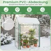 A small greenhouse filled with plants, covered in snow. Podgląd zdjęcia produktu
