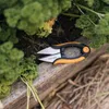 FISKARS 1063326 nůžky na byliny SOLID kalené nerez čepele Náhled obrázku produktu 13
