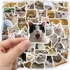 Lustige Katzenaufkleber mit Memes, 50er-Set zum Produktbild-Vorschau 3