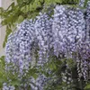 Glicynia (Wisteria) chińska Amethyst 2L Podgląd zdjęcia produktu 1