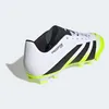 Schuhe Adidas Predator FG/MG für Herren Produktbild-Vorschau 11