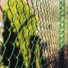 Maschendrahtzaun PVC-Beschichtung Grün Höhe: 2 Meter Länge: Produktbild-Vorschau 4