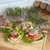 Sauberes Früchtchen - das Keimgerät KEIMBOX Produktbild-Vorschau 11