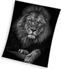 A black and white portrait of a lion against a black background. Anteprima dell’immagine prodotto