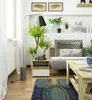 A living room scene with a sofa, floor lamp, and side table with plants. Podgląd zdjęcia produktu