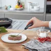 A hand holding a thermometer is inserted into a cooked steak on a plate, with other ingredients nearby. Anteprima dell’immagine prodotto
