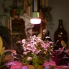 Osram LED Star Grow Lamp T60 10W E27 bianco/viola/blu Anteprima dell’immagine prodotto 6