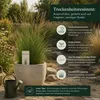 Rzodkiewka łąkowa (Festuca arundinacea), waga: 1 kg, Podgląd zdjęcia produktu 4