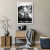 Poster - Poster ohne Rahmen - Wald Kiefer Sonne - 50x70 cm Produktbild-Vorschau 6
