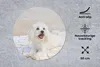MuchoWow® Mauspad Mousepad Ein Malteser Hund liegt auf Produktbild-Vorschau 2