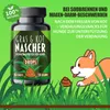 Saint Nutrition® Gras + Kot Nascher Leckerlis für Hunde – Produktbild-Vorschau 4