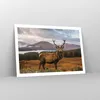 Poster - Poster ohne Rahmen - Rehe Wiese Berge - 91,5x61 cm Produktbild-Vorschau 7
