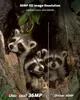 3 Stück Wildkamera 4K 36MP HD Wildtierkamera 36 Stück IR Produktbild-Vorschau 4