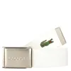 A white Lacoste belt with a silver buckle and a green crocodile logo. Anteprima dell’immagine prodotto