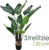 Strelitzia Plante Artificielle Artificiel Plastique Pot Voir les images du produit 1