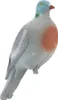 Eurohunt Pigeon-Lockvogel Taille réelle Blanc Blanc One Voir les images du produit 1
