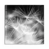 DEQORI Glasbild Echtglas 50x50 cm 'Pusteblumenflug' Produktbild-Vorschau 2