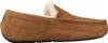 Ugg Ascot M Chestnut - Heren Pantoffel - 1101110-CHE Produktbild-Vorschau 4