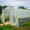 Transparente PE Gewächshausfolie für Garten und Gewächshaus Produktbild-Vorschau 2