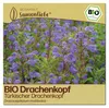 Samenliebe  Drachenkopf Samen | Türkischer Drachenkopf - Produktbild-Vorschau 1