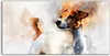Coloray - Glasbild - 120x60 cm - Wandbild - Glasbilder - Produktbild-Vorschau 1