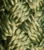 A close-up view of a thick, braided green rope. Produktbild-Vorschau