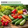 Gemüsesamen Set - 12 Sorten Samen - Saatgut Sortiment - Produktbild-Vorschau 5