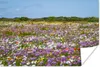 MuchoWow® Poster Blumenwiese - Lila - Blumen 60x40 cm - Produktbild-Vorschau 1