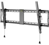 Wentronic Pro TILT (XL) 2,54 m (100") Noir Voir les images du produit 1