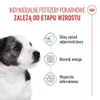 Royal Canin Mini Puppy, Welpe, Klein (5-10 kg), Geflügel, Produktbild-Vorschau 3