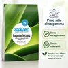 rigenerante lavastoviglie 2kg,lavastoviglie in sacchetto di Anteprima dell’immagine prodotto 4