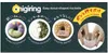 A collage of images showcasing donut-shaped rice balls made with the Onigiring product, with accompanying text and a demonstration of its use. Produktbild-Vorschau