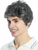 WIG ME UP Perücke uni kurz leicht gewellt Tolle Dunkelgrau Produktbild-Vorschau 2