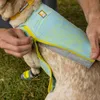 Ruffwear Swamp Cooler™ Zip Vest | 05451-475, Rozmiar:L Podgląd zdjęcia produktu 14