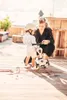 Scoot And Ride - Highwaykick 1- Ash Produktbild-Vorschau 33
