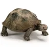 Riesenschildkröte Schleich 14601 Produktbild-Vorschau 4