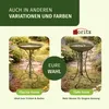 Moritz Vogeltränke Vogelbad Rostoptik braun mit kleinem Produktbild-Vorschau 9