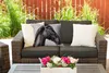 MuchoWow® Outdoor Kissen - Pferd - Halfter - Porträt - Produktbild-Vorschau 5