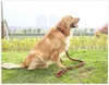 Guinzaglio da 120 cm per cani di grossa taglia, guinzaglio Anteprima dell’immagine prodotto 2