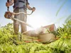 Filo in nylon LaGreen per decespugliatori e tagliabordi - Anteprima dell’immagine prodotto 5