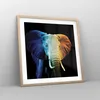 Gerahmtes Poster - Rahmen in heller Eiche - Bunt Elefant Produktbild-Vorschau 8