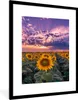 MuchoWow® Gerahmtes Poster Blumen - Himmel - Lila - Produktbild-Vorschau 1