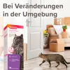 Beaphar CatComfort Wohlfühl-Spray für Katzen - 60 ml Produktbild-Vorschau 2