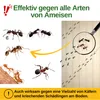 A collage of images showing ants, a magnifying glass over ants, and text describing pest control. Produktbild-Vorschau