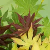 A close-up of several Japanese maple leaves in varying shades of green, red, and yellow. Produktbild-Vorschau