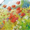 ARTland Poster Sommerwiese mit Mohnblumen Größe: 100x100 cm Produktbild-Vorschau 1