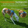 Harnais de sécurité pour chien, anti-évasion, Voir les images du produit 3