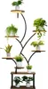 Scaffale per piante con luce LED - Scaffale per fiori a 8 Anteprima dell’immagine prodotto 10